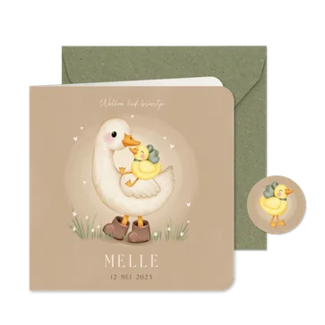Lief geboortekaartje voor een broertje ganzen in het gras